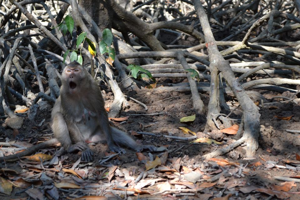 HCM:Can Gio Mangrove Forest Tour-Monkey Island - Price and logistics: what $37 gets you (and what to expect to pay extra)