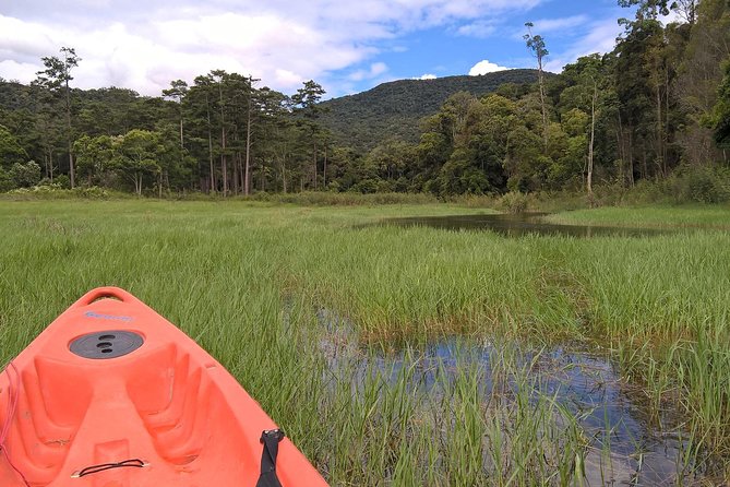 Hike and Kayak with exploring Tuyen Lam Lake in Da Lat - Lunch at the lake: the picnic break that makes this feel like a real outing