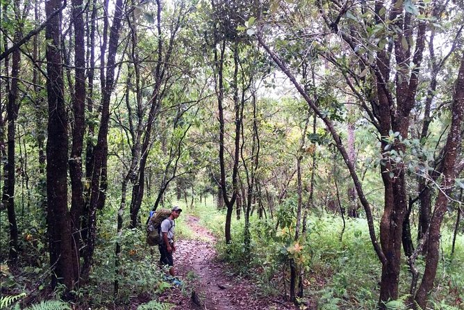 Hike and Kayak with exploring Tuyen Lam Lake in Da Lat - Guide attention and the small-group difference