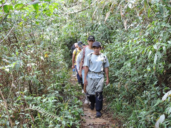Hike and Kayak with exploring Tuyen Lam Lake in Da Lat - Pickup, start time, and what your day feels like (5–6 hours)
