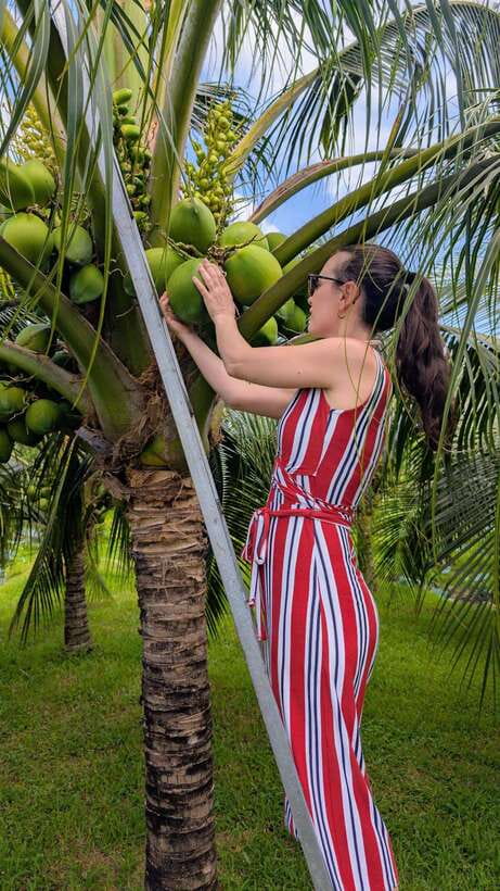 Ho Chi Minh: 1-Day Mekong Delta Tour-Floating Market & Islet - Fruit picking, monkey bridges, and garden time (seasonal means “plan A”)