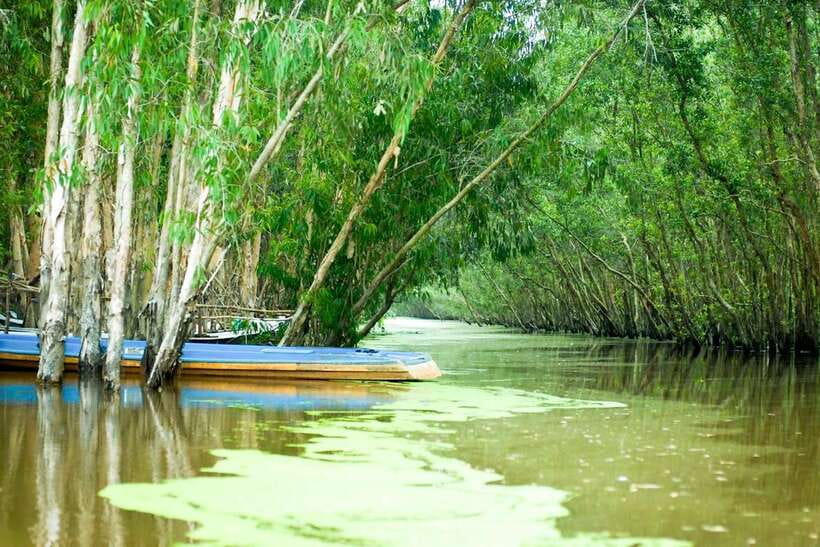 Ho Chi Minh: 3-Day Mekong Delta & Optional Exit to PhnomPenh - Price and logistics: is $261 per person actually a good deal?