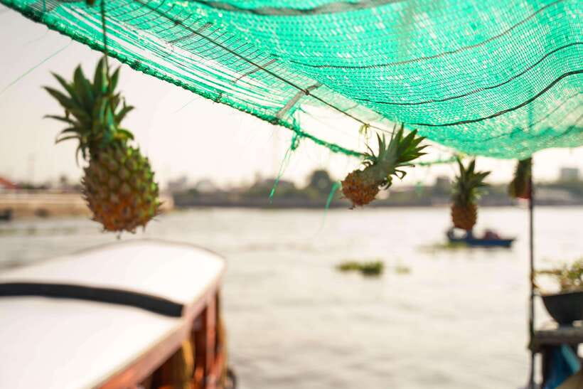 Ho Chi Minh: 3-Day Mekong Delta & Optional Exit to PhnomPenh - Who should book this Mekong Delta + Phnom Penh option?