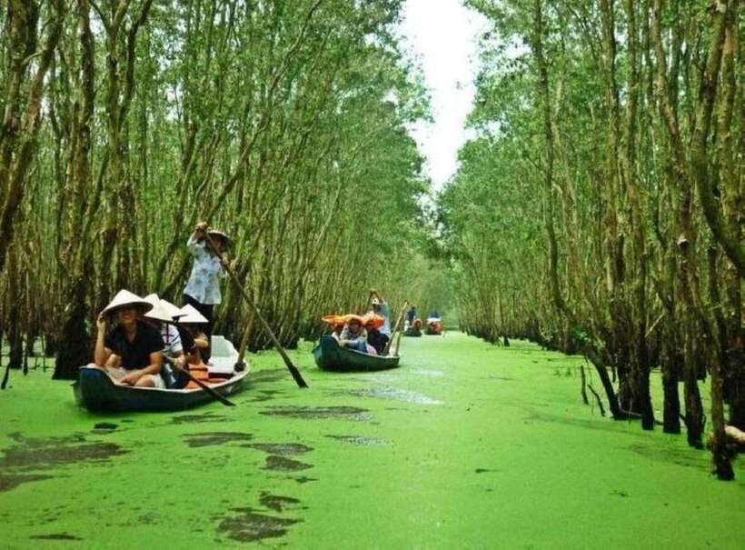 Ho Chi Minh: Can Gio Mangrove and Monkey Island - Step into Monkey Island: mangrove feeding that stays fun if you follow the rules