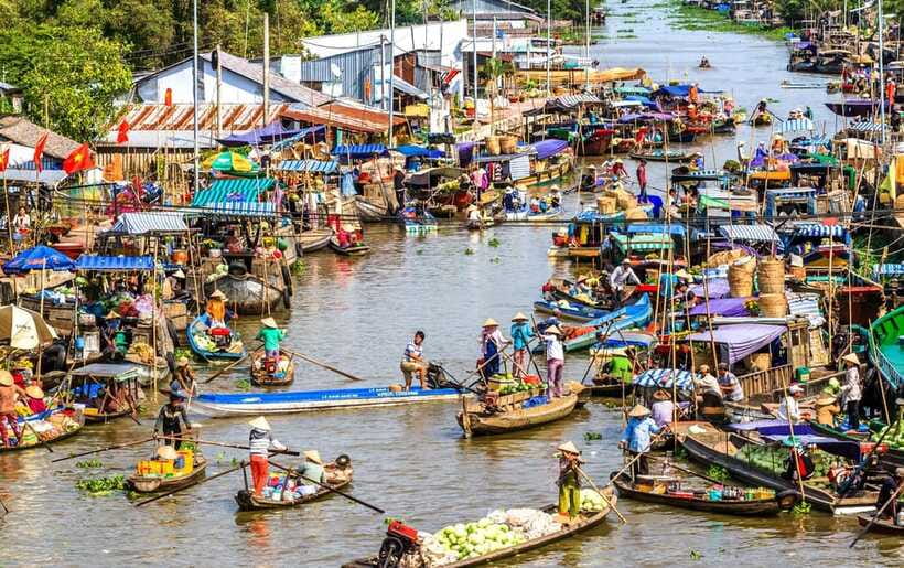 Ho Chi Minh City: Cai Rang Floating Market in Can Tho Tour - Son Islet on the Hau River: floating fish farm, koi foot massage, and the monkey bridge