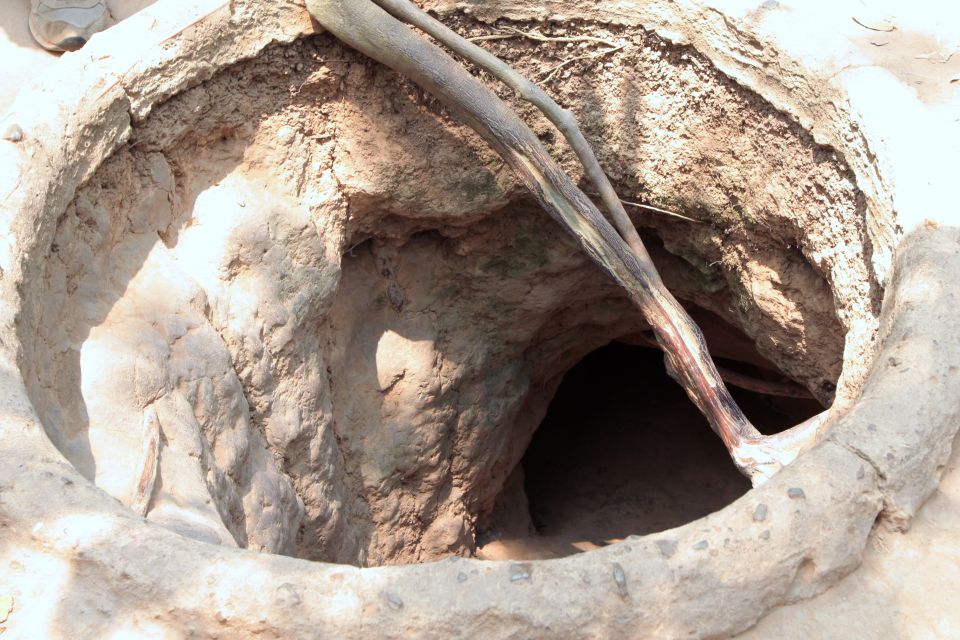 Ho Chi Minh City: Cu Chi Tunnels Tour - Should You Book Cu Chi Tunnels With This Operator?
