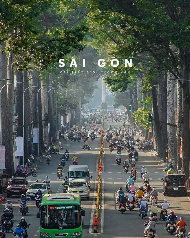 Ho Chi Minh City: Half-Day Guided City Tour - Price and logistics: does $32 feel like value or just a fee?