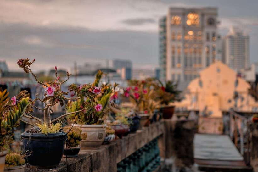 Ho Chi Minh City: Highlights & Hidden Gems Walking Tour - Ending at Ho Chi Minh City Book Street: A Calm Finish in the Middle of It All