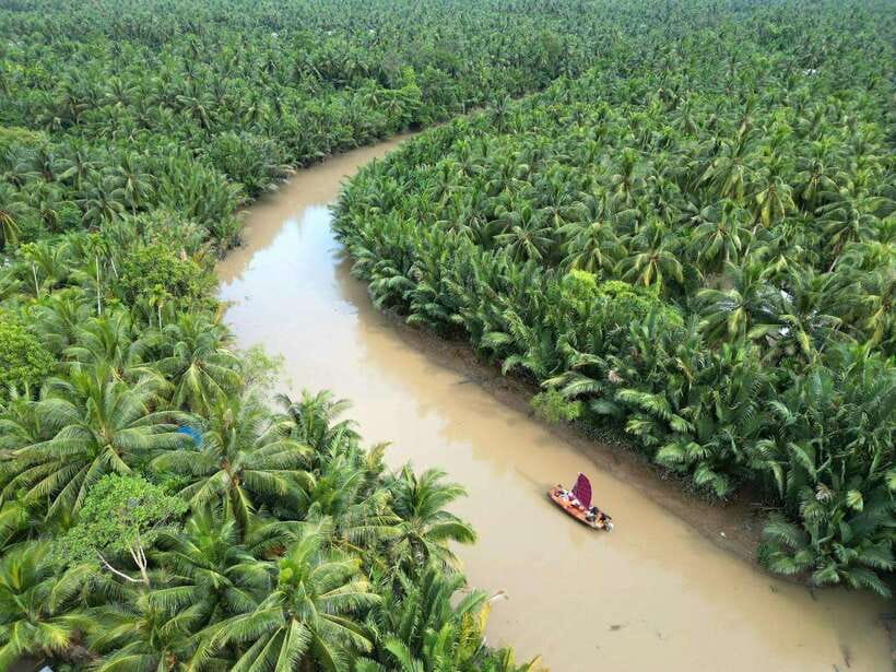 Ho Chi Minh City: Mekong Delta Day Trip with Lunch & Drinks - How this Mekong Delta day trip from Ho Chi Minh City really plays