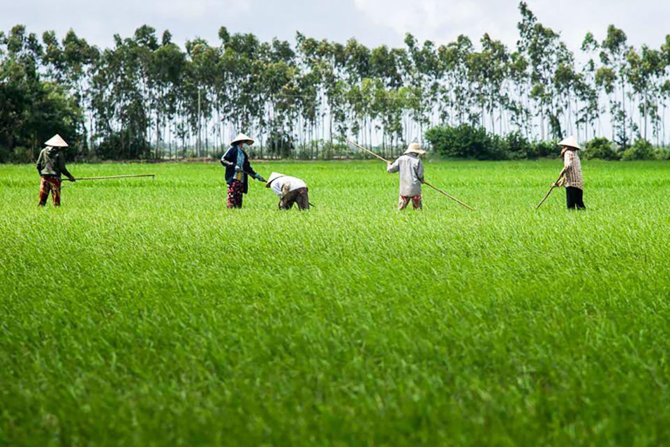 Ho Chi Minh City: Mekong Delta Full-Day Speedboat Tour - Cao Dai temple and Thủ Thừa District: belief, walking, and a taste stop