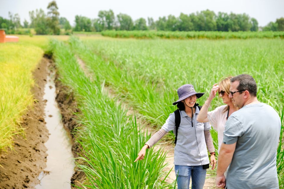 Ho Chi Minh City: Mekong Delta Full-Day Speedboat Tour - The family homestead moment: coconuts, Mekong whisky, and surprises
