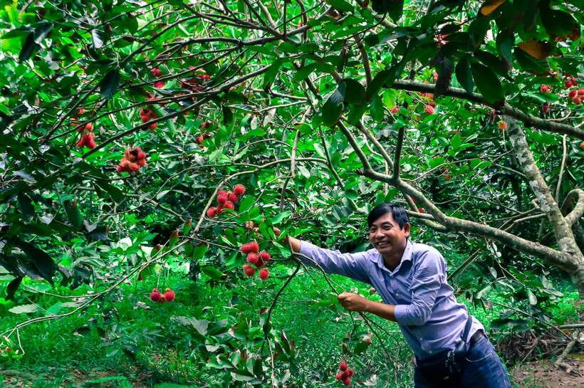 Ho Chi Minh City: Mekong Delta Tour with Sampan Journey - Who should book this Mekong Delta day trip