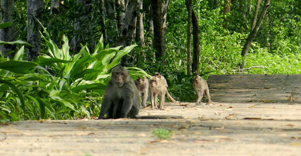Ho Chi Minh: Private Can Gio Mangrove Forest Day Tour - Can Gio Private Day Tour: How the Whole Day Runs
