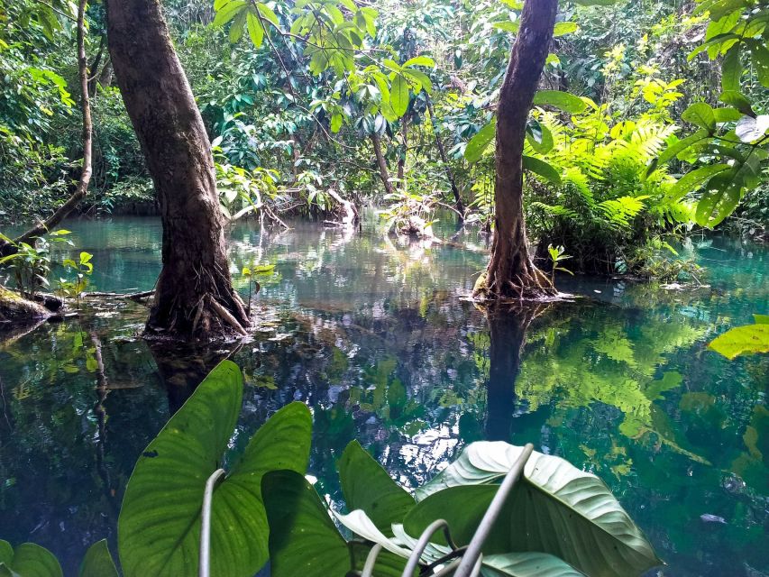 Ho Chi Minh: Private Can Gio Mangrove Forest Day Tour - Crocodile Farm Stop: Hatching Crocodiles and Seeing Them Up Close