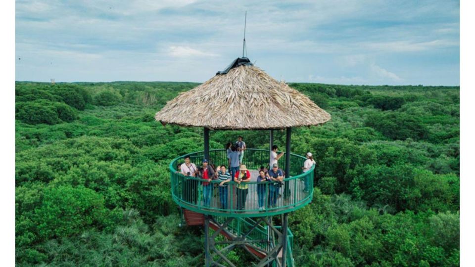 Ho Chi Minh: Private Can Gio Mangrove Forest Day Tour - Picking Up in Ho Chi Minh City and Reaching Binh Khanh Ferry
