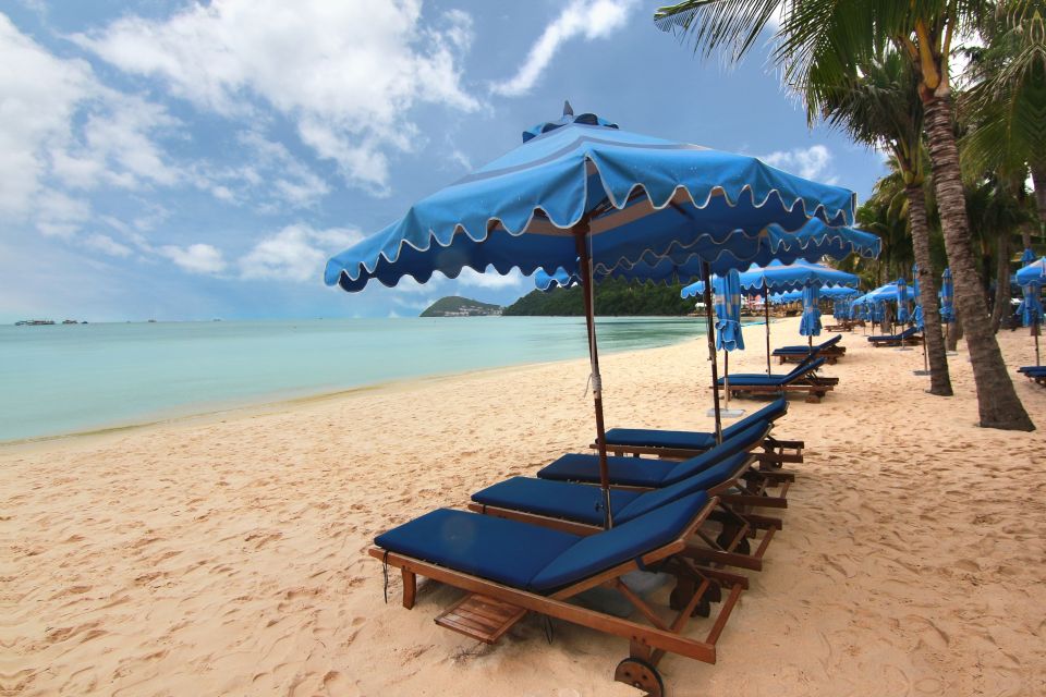 Ho Coc Beach, Nature Reserve & Dragon Fruit Farm Day Tour - What the $114 price really covers (and why it can feel fair)
