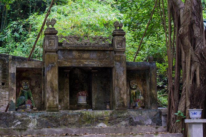 Hoa Lu - Mua Cave - Tam Coc/Trang An - DELUXE Small Group Tour - Price and Value: What $49 Actually Buys You