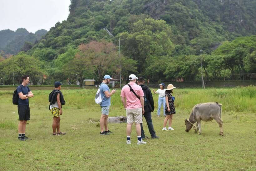 Hoa Lu Tam Coc Mua cave Day trip, best price - best selling - Transfers and Small Comforts That Matter on a Long Day