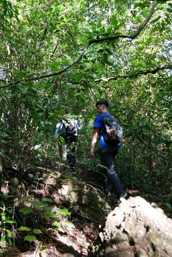Hoi An: Amazing My Son Sanctuary and Mountain Trekking - BBQ, Wildlife Breaks, and the Pace That Keeps It Enjoyable