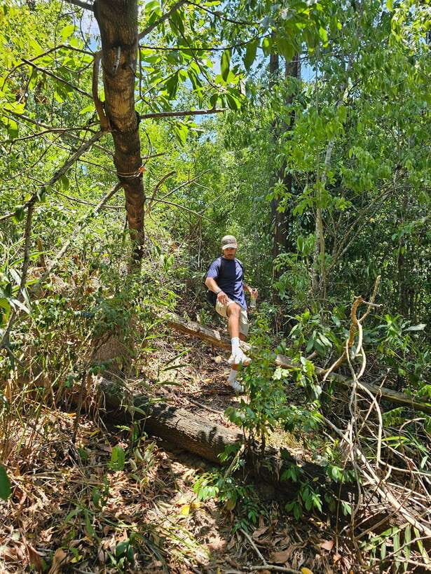 Hoi An: Amazing My Son Sanctuary and Mountain Trekking - Practical Tips: What to Wear, What to Bring, and What to Expect Physically