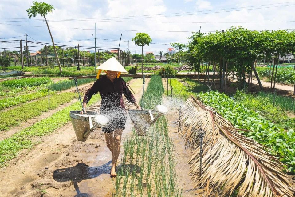Hoi An: Authentic Cooking class in organic Herb Village - Key highlights worth your time