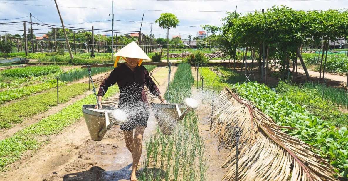 Hoi An: Authentic Cooking class in organic Herb Village - The 20-minute bike ride through rice fields and farm animals