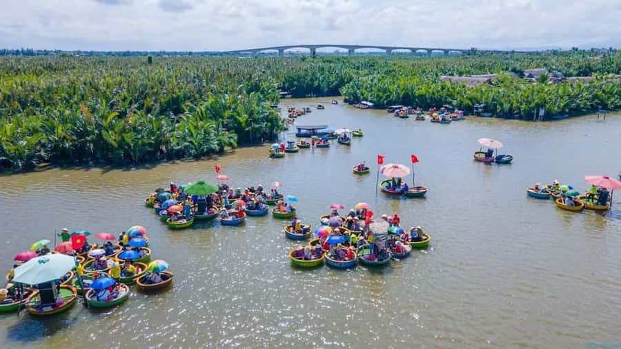 Hoi An : Bamboo Basket Boat Tour with Transportation - Bay Mau Coconut Forest: the calm you came for
