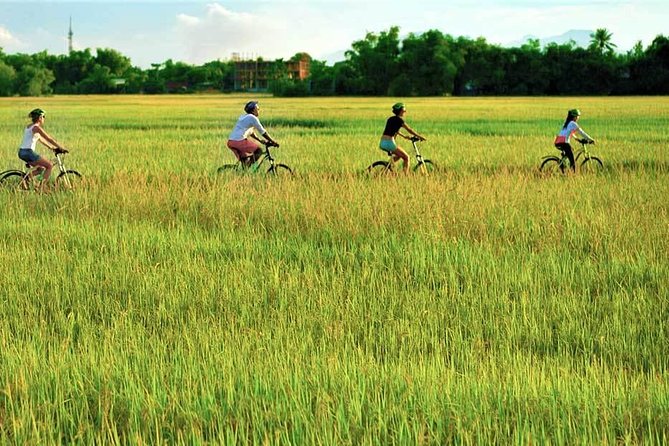 Hoi An Bicycle And Cooking Class Tour - Timing, Transfers, and How Smooth It Feels