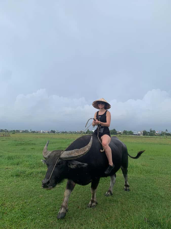 Hoi An: Bike Tour with Buffalo Riding & Lantern-Making Class - Stop-by-stop: from IVEGAN to the eco village and back