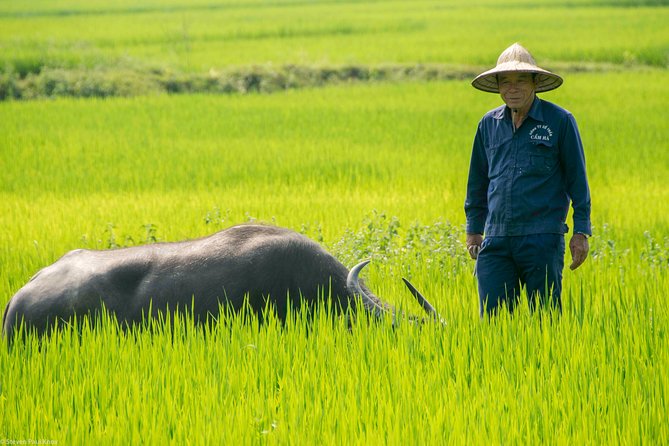 HOI AN Biking River Islands, Villages, Local Crafts PRIVATE TOUR - Incense stick making: a craft village stop you can actually participate in