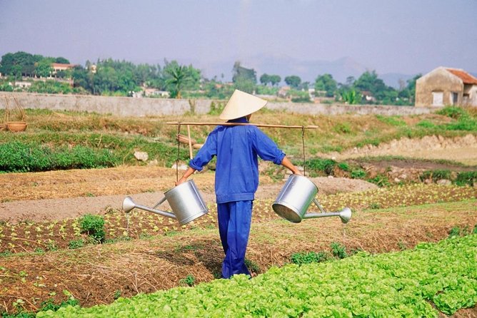 HOI AN Biking Vegetable Village, Basket Boat, Coconut Forest - Key highlights to look forward to