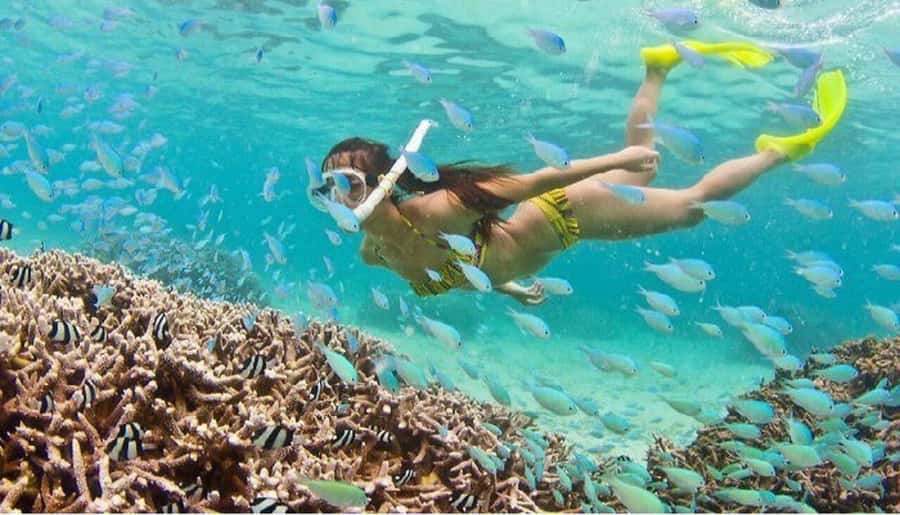 Hoi An: Cham Islands Snorkeling Trip by Speedboat with Lunch - Speedboat from Cua Dai to Cham Islands: what that ride really means