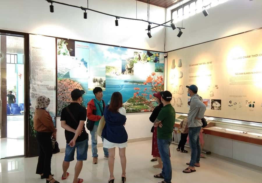 Hoi An: Cham Islands Snorkeling Trip by Speedboat with Lunch - Lunch on the beach: seafood flavors, cash for extras, and allergy care