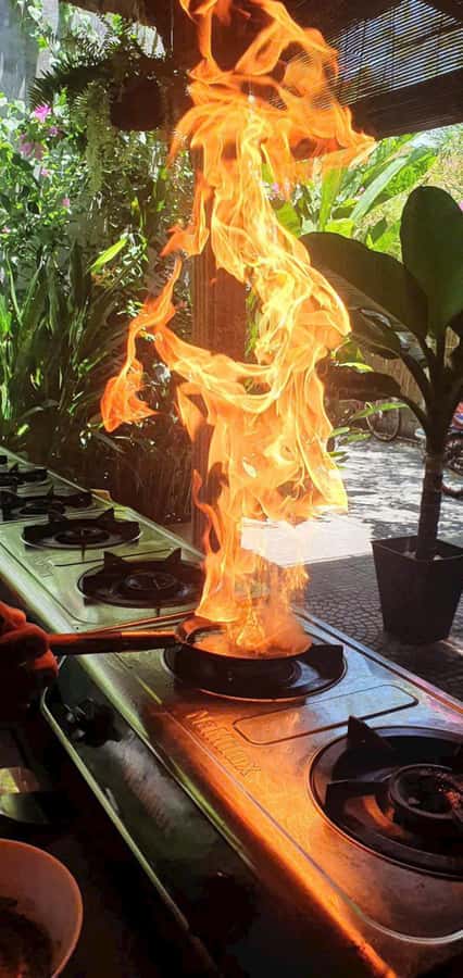 Hoi An: Cooking Class in Coconut Jungle with Market Tour - Net fishing and Purple Crabs: hands-on canal time you’ll remember