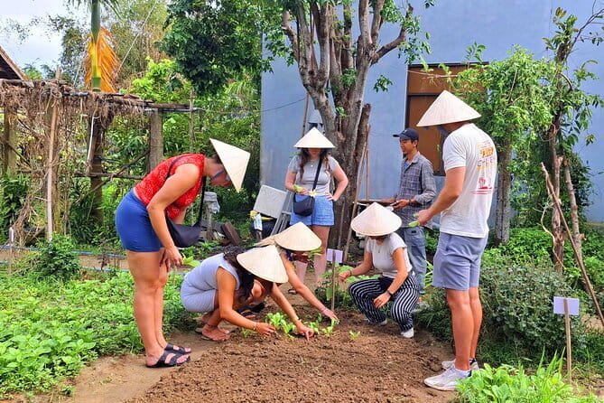 Hoi An Cooking Class & Vespa Cooking Adventure Tour - Price and Value at $29: What You’re Getting for the Money