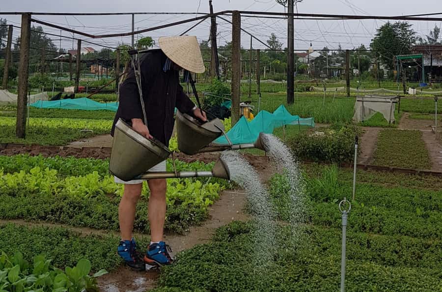 Hoi An Cooking Class With Market and Bamboo Basket Boat Tour - The Big Idea: Why This Hoi An Food Day Works