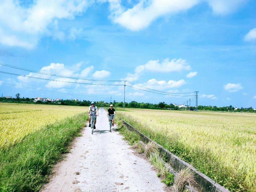 Hoi An Countryside Biking Tour - Why This 4.5-Hour Bike Day Works So Well in Hoi An