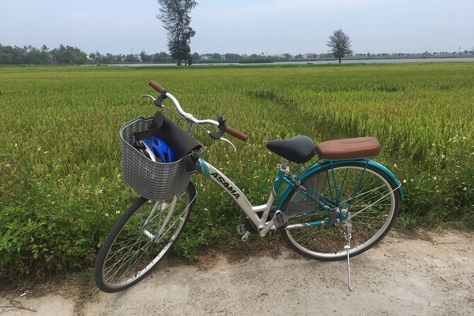 Hoi An countryside biking tour, water buffalo+ basket boat ride - Cam Thanh coconut village and the basket boat story