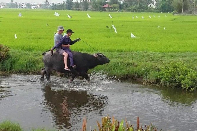 Hoi An Countryside - Buffalo Riding - Basket Boat Rowing - Bay Mau Coconut Forest: basket boats, snail fishing, and coconut leaf souvenirs