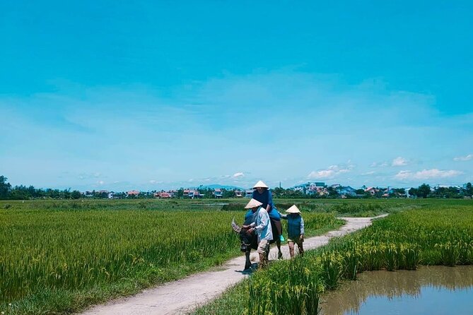 Hoi An Countryside - Buffalo Riding - Basket Boat Rowing - Who this tour fits best (and who should skip it)