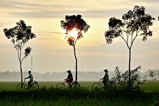 Hoi An Countryside By Bike - Ferry and boat time: a photo break with a purpose