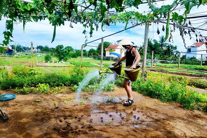 Hoi An countryside cycling tour - Why this Hoi An ride feels different from the usual sightseeing