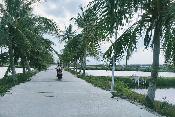 Hoi An Countryside Discovery Tour By Motorbike - Local food - Price and time: why $55 makes sense for what you get