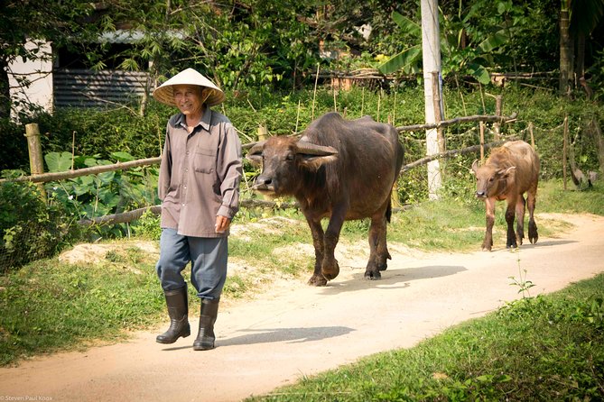 HOI AN Countryside - River Islands - Old Crafts - Local Culture - Stop 5: Cua Dai Bridge Viewpoint for Big-Photo Relief