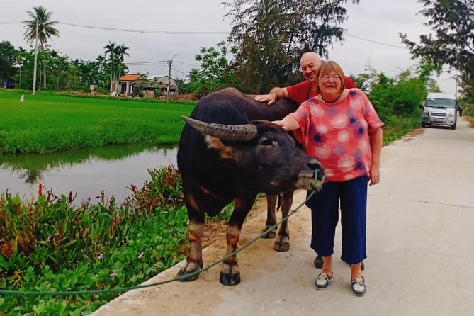 Hoi An Countryside Tour with Bamboo Basket Boat Rowing , Buffalo Ride, Farming - Pickup, Timing, and Why Private Feels Less Stressful