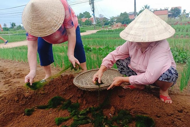 Hoi An Countryside Tour with Bamboo Basket Boat Rowing , Buffalo Ride, Farming - What’s Included (and What You’ll Likely Pay Extra)