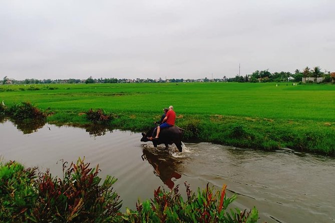 Hoi An Countryside Tour with Bamboo Basket Boat Rowing , Buffalo Ride, Farming - Price and Value: Why $76.42 Can Make Sense Here