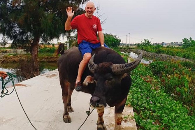 Hoi An Countryside Tour with Bamboo Basket Boat Rowing , Buffalo Ride, Farming - Tra Que Vegetable Village: Seaweed Fertilizer, Stomping, and Traditional Watering