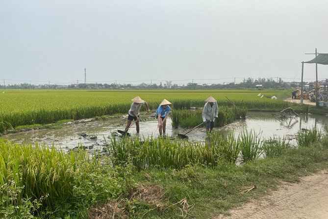 Hoi An Countryside Vespa Tour: Food, Culture & Daily Life - Riding the Vespa Safely (and What the Rain Gear Tells You)