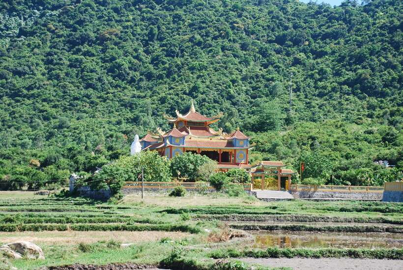 Hoi An/ Da Nang: Cham Island Discovery Tour - Key points to know before you go